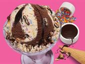 baskin robbins franchise for