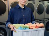 owner absentee-profitable laundromat