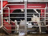 dairy industry robotic milking
