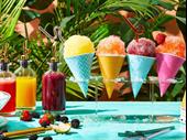 franchise shaved ice shop