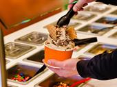 frozen yogurt franchise independent