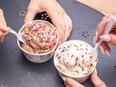profitable ice cream franchise