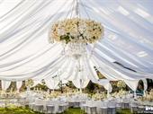 event rental company tidewater