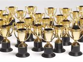 profitable trophy awards business