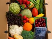 online retail service
