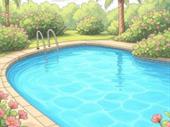 established pool construction service