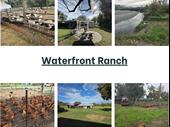 premium waterfront property with