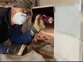 crawl space services business