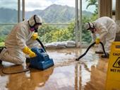kauai remediation property maintenance
