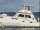 famous key west fishing