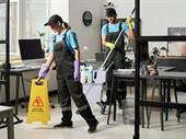established cleaning business high-profit