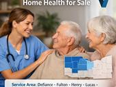 profitable home health agency