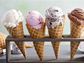 profitable ice cream food