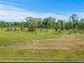 10 acre land reeves