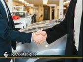 highly profitable car dealership