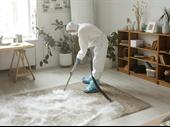 carpet cleaning business with