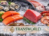 profitable seafood wholesale with
