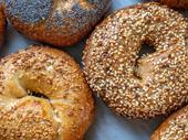turnkey bagel deli operation