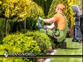 established landscaping lawn care