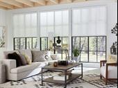 popular window blinds shutters