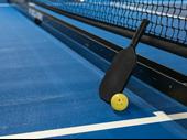 high-growth indoor pickleball club