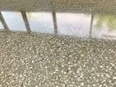 concrete polishing company for