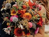 premium boulder county wedding