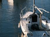 thriving marine sales service
