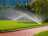 1m+ revenue sprinkler company