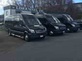 established profitable luxury limo