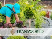 established landscaping business growing