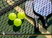 semi-absentee indoor pickleball club