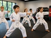 turnkey premier martial arts