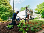 residential commercial landscaping lawn