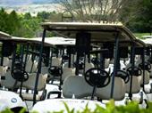 golf cart sales service