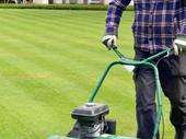 lawncare landscaping