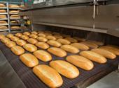 long-established wholesale bakery north