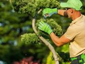 established landscaping snow removal
