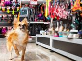 established pet store the