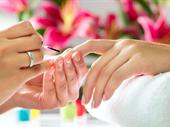 established tampa nail salon