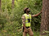 tree service business