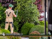 lawn landscape maintenance company