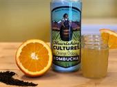 highly sought after kombucha