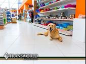 premium pet store food