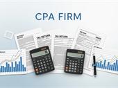 accounting firm for sale
