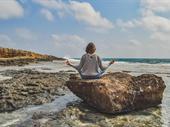established wellness business recurring