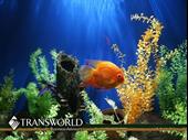 20-year-established south florida aquarium