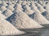 leading salt manufacturing business