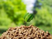 19 6 mw biomass