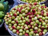 20-acre farm with fruit